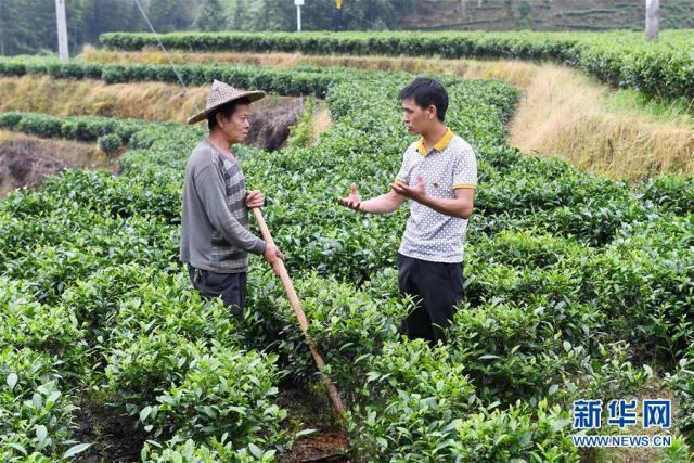 https://pics7.baidu.com/feed/37d12f2eb9389b50d9e996cde899dbd8e6116e48.jpeg?token=40d148acdbb341ae7e70653d7edfc763&s=458AA2F152EAF8E64A015A130300C0D4